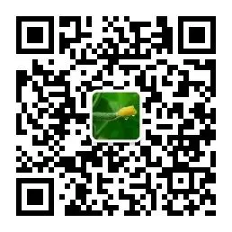 如何制定适合自己的篮球恢复训练计划?_0